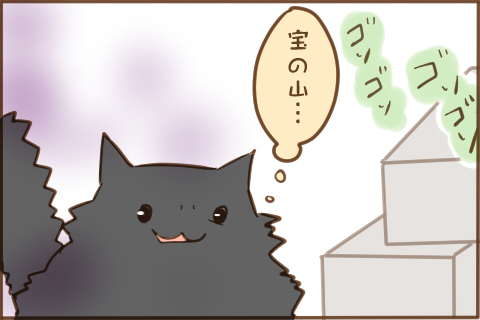 img_cat_box_02