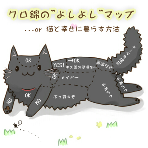 img_cat_illustration_map_02