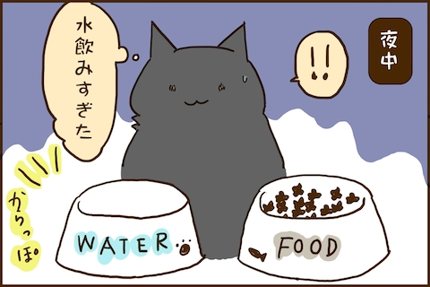 img_kuronishiki_water_02